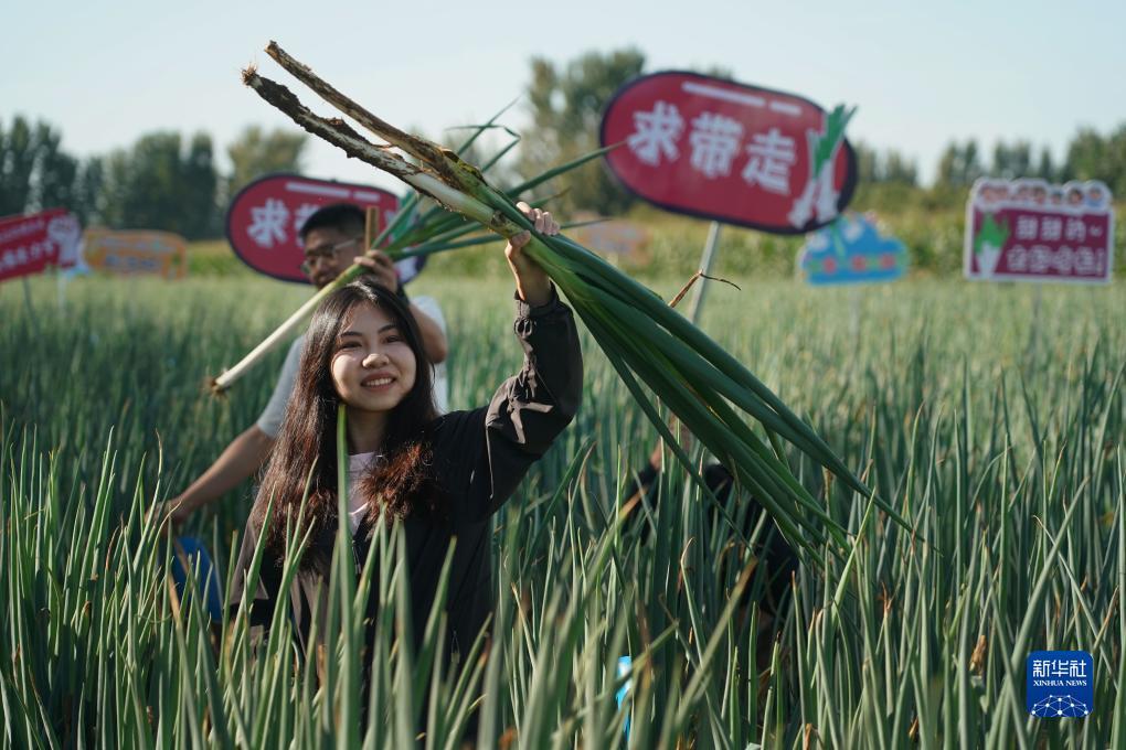 mg真人游戏斗牛